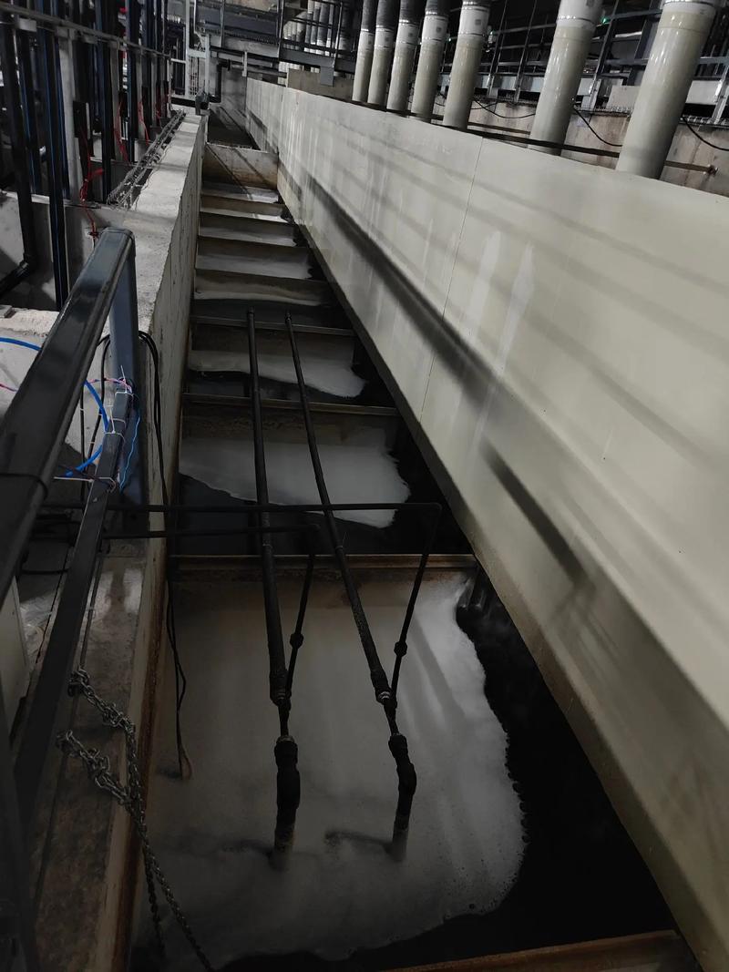 探访福建汇泽渔业 全球最大单体鳗鱼工厂化养殖基地的创新实践