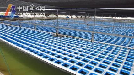 象山成功创建全市首个国家级渔业健康养殖示范县 引领水产品养殖新篇章