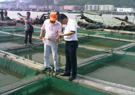 浙江温州首批25家养殖场水产品获得“身份证”，开启养殖追溯新篇章