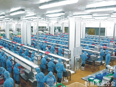 湛江国联水产开发股份 引领水产品养殖的现代化发展