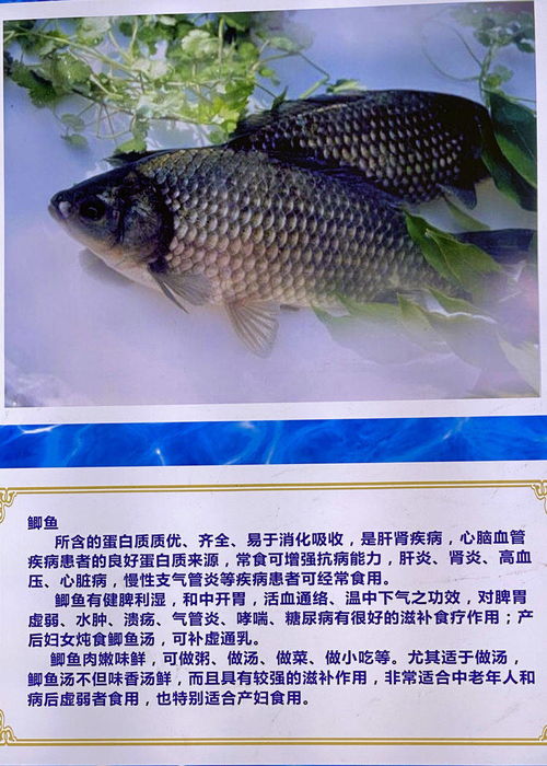 大荔黄河水产馆 引领全省水产品养殖的现代化基地