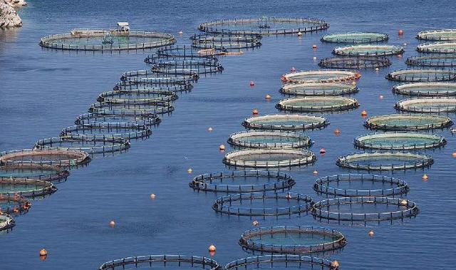 我国水产养殖业 现状挑战与未来路径