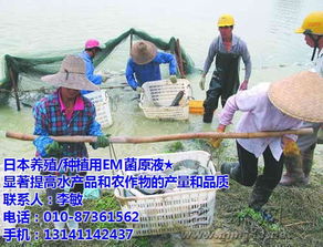 山西水产品运输暂养的关键技术与保鲜保活解决方案