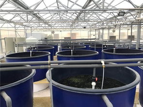 智慧农研时代 优质水产养鱼设备供应商如何赋能水产品养殖