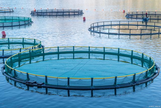 水产养殖专业考研方向 水产品养殖的深度探索与发展前景