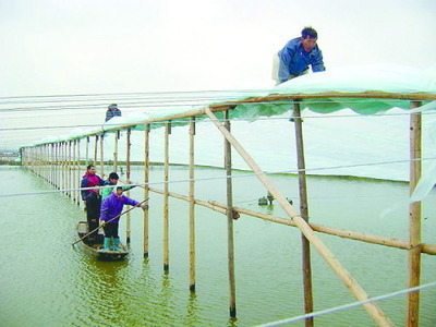 水产养殖户提前遭遇低温“大考”，积极应对确保“鱼跃龙门”